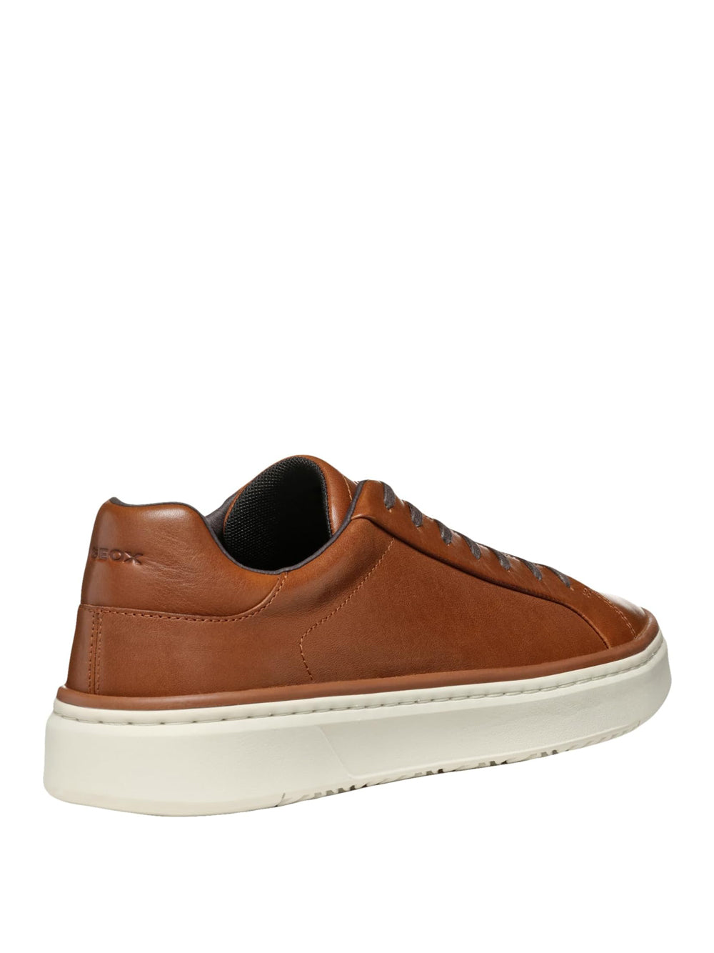 GEOX Sneakers Uomo - Marrone modello U46HPA