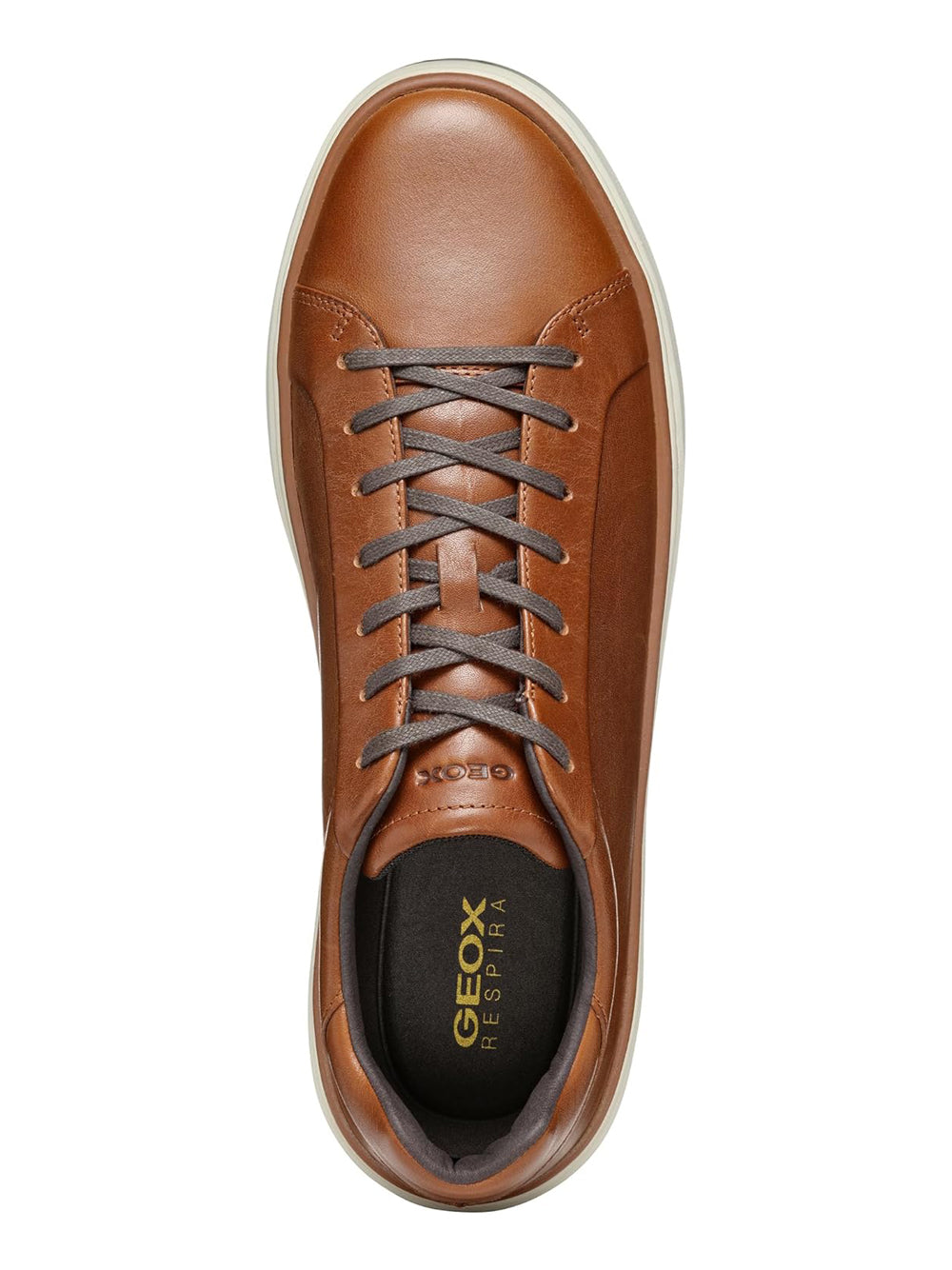 GEOX Sneakers Uomo - Marrone modello U46HPA