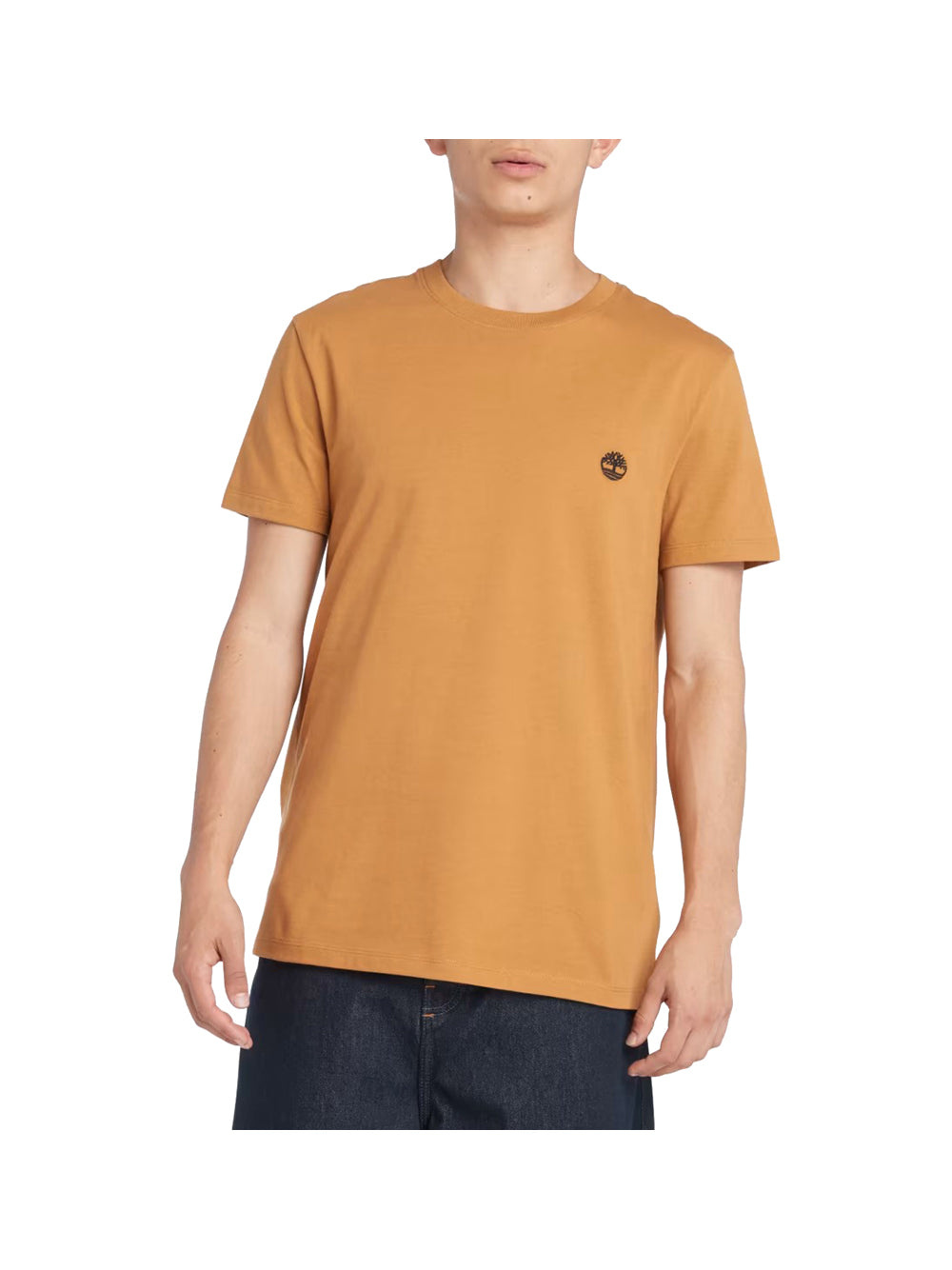 TIMBERLAND T-shirt Uomo - Giallo modello TB0A2BPR