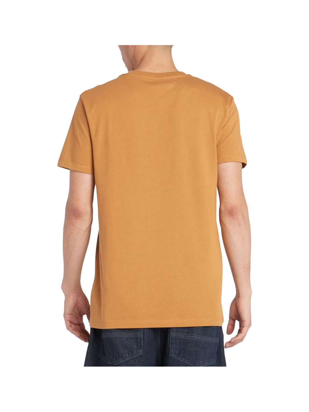 TIMBERLAND T-shirt Uomo - Giallo modello TB0A2BPR